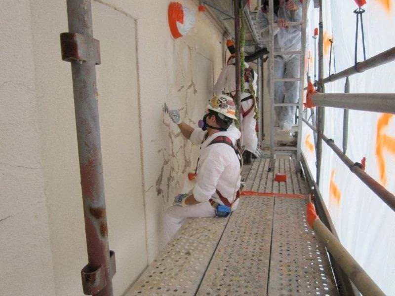 Lead Abatement job site photo 11 of 20, Advanced Environmental Services