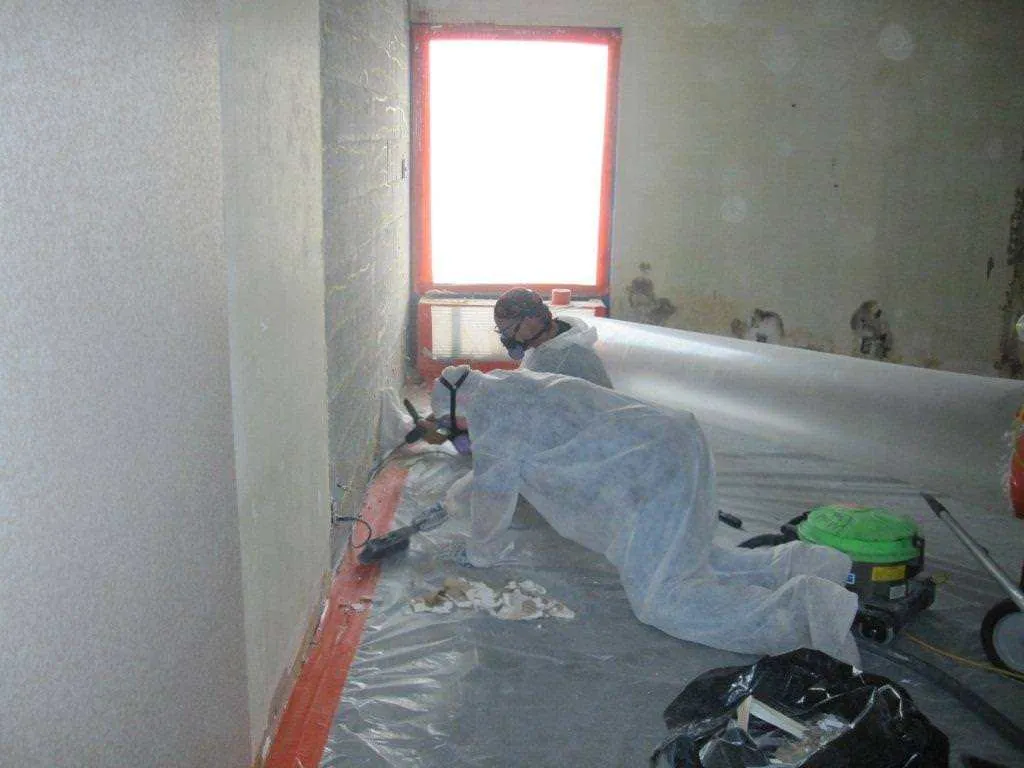 Mold Removal job site photo 4 of 24, Advanced Environmental Services