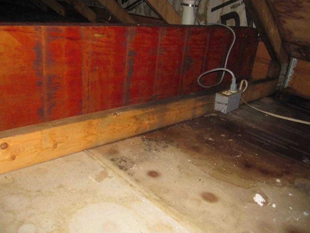 Mold Removal job site photo 5 of 24, Advanced Environmental Services