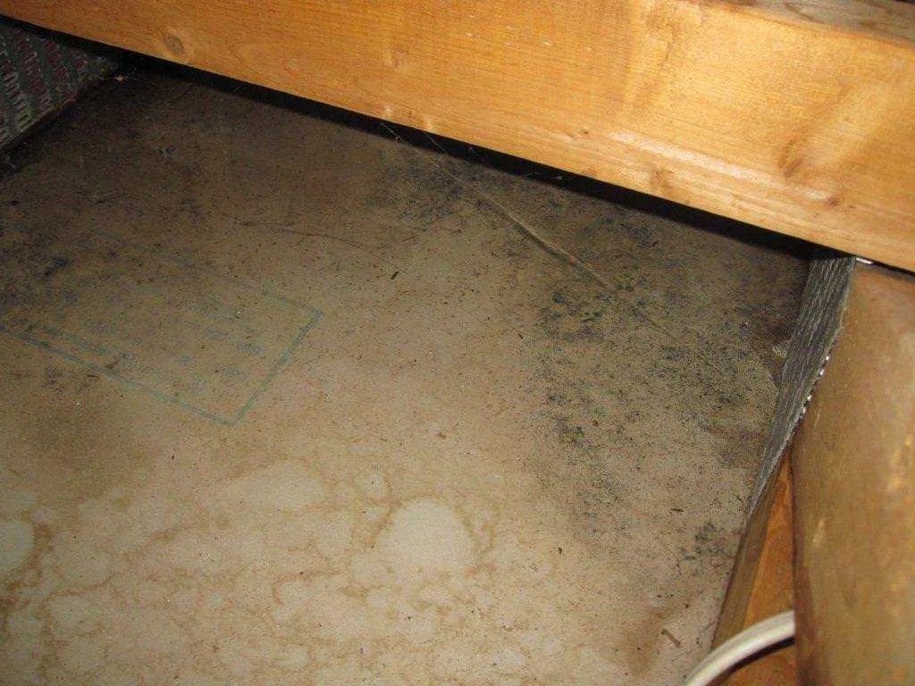 Mold Removal job site photo 6 of 24, Advanced Environmental Services