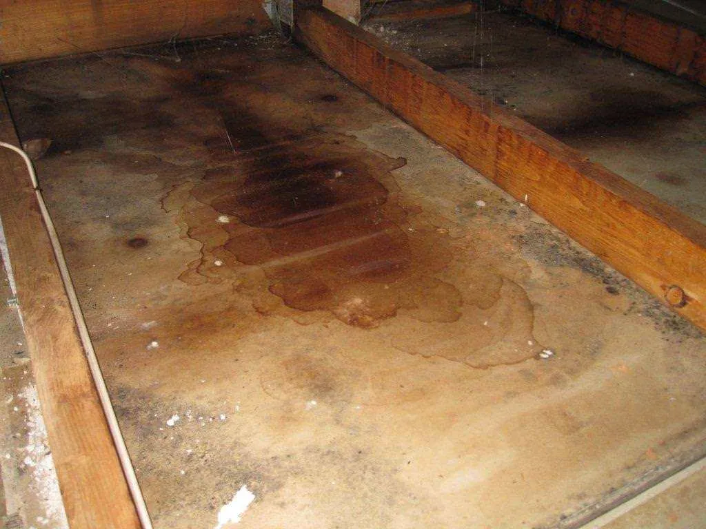 Mold Removal job site photo 7 of 24, Advanced Environmental Services