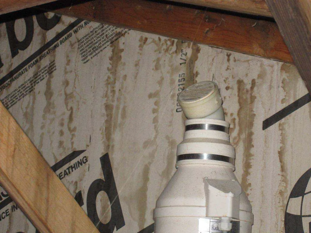 Mold Removal job site photo 10 of 24, Advanced Environmental Services