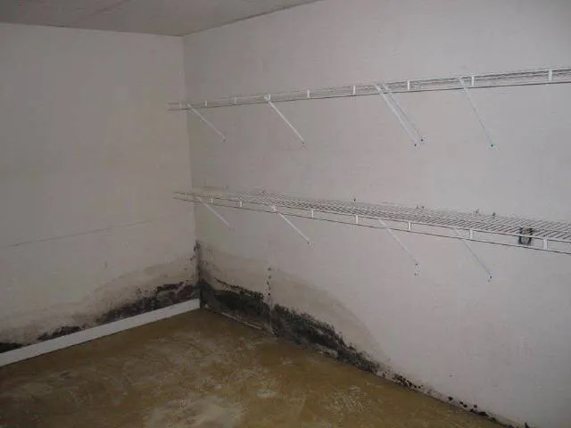 Mold Removal job site photo 14 of 24, Advanced Environmental Services