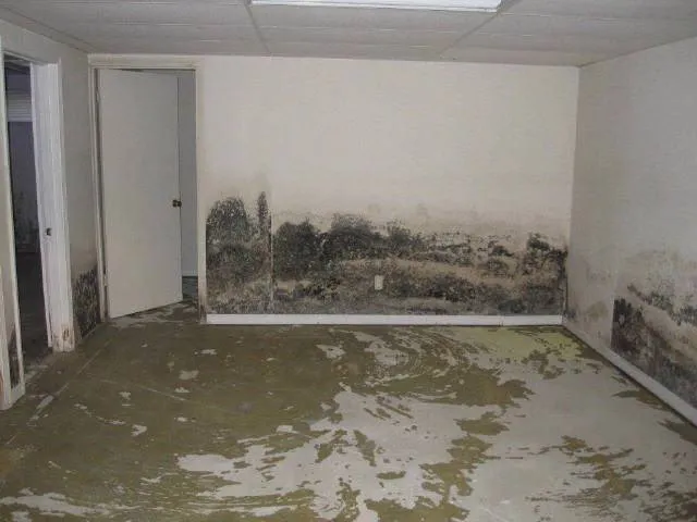 Mold Removal job site photo 15 of 24, Advanced Environmental Services