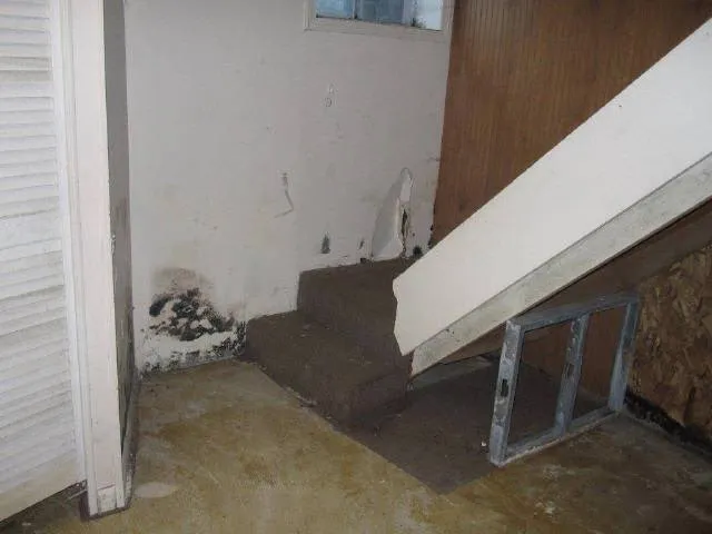 Mold Removal job site photo 20 of 24, Advanced Environmental Services
