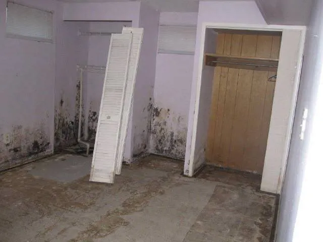 Mold Removal job site photo 21 of 24, Advanced Environmental Services