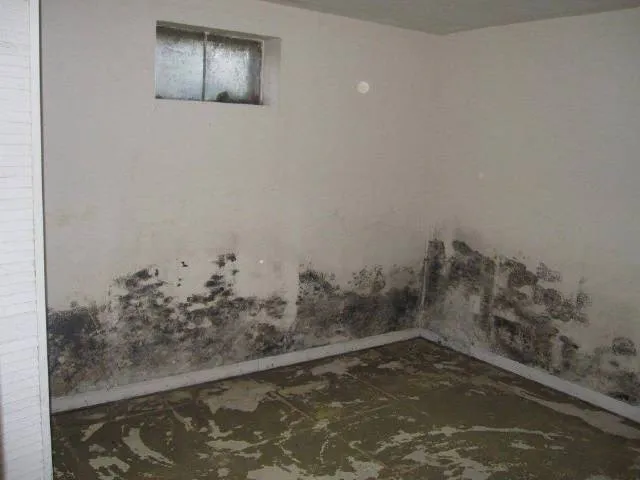Mold Removal job site photo 24 of 24, Advanced Environmental Services