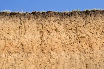 Contaminated Soil Remediation Services