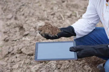 Contaminated Soil Removal and Disposal Process