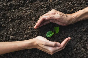 Benefits of Soil Contamination Testing